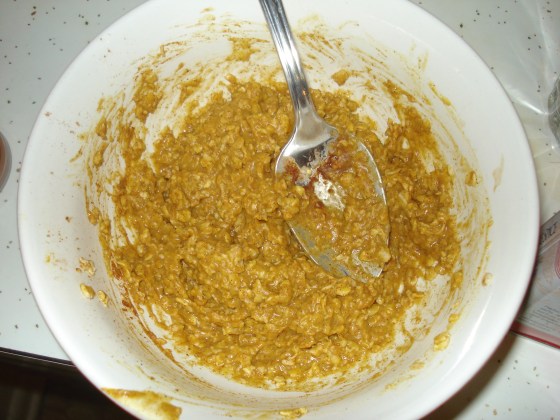 pumpkin oatmeal