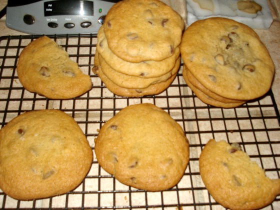 chocolate chip cookies