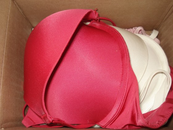 bras to donate