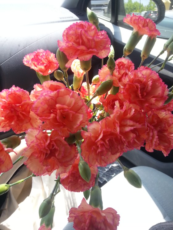 birthday carnations