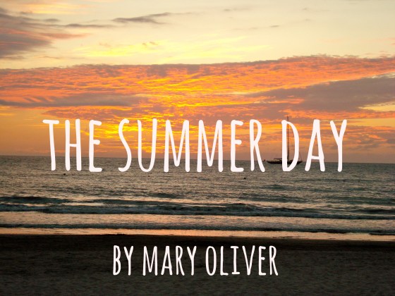 the summer day.jpg