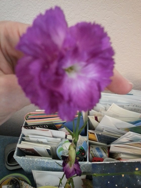 flower from grandma